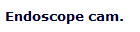 Endoscope cam.